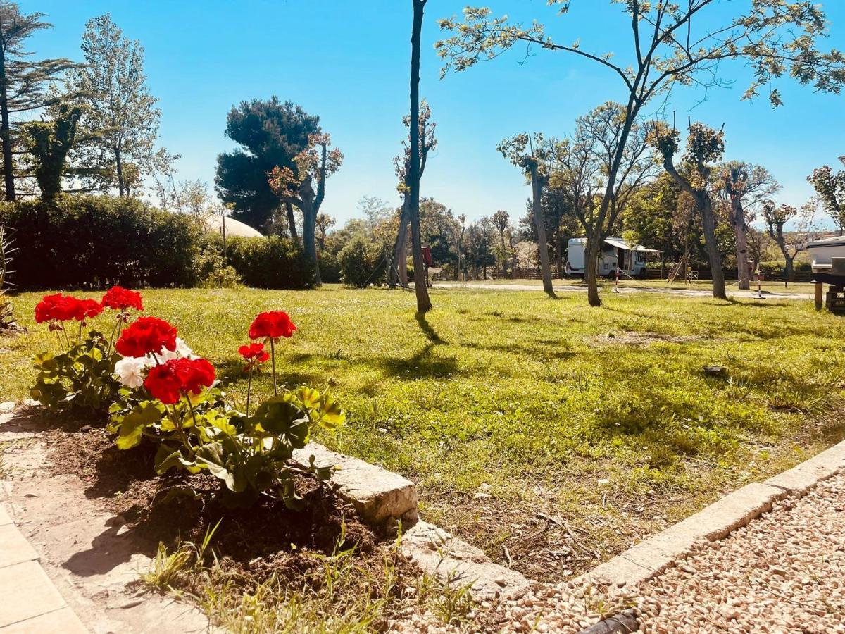 Camping Torre Mucchia Ortona Exteriér fotografie